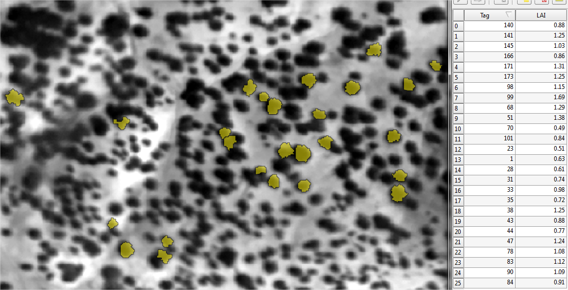 ../_images/hcl_lai_plots.png